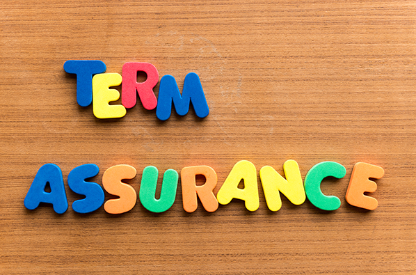 Term Insurance Plan