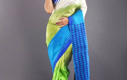 Banarasi silk saree