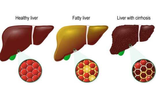 Reasons Beer Is Not Bad For You