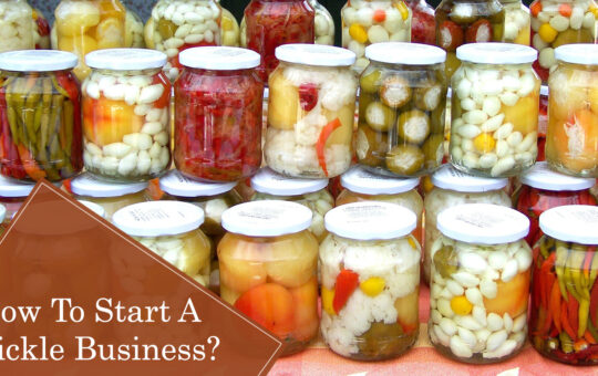 How do I start a pickle business? Is pickle making business profitable? How can I promote my pickle business?