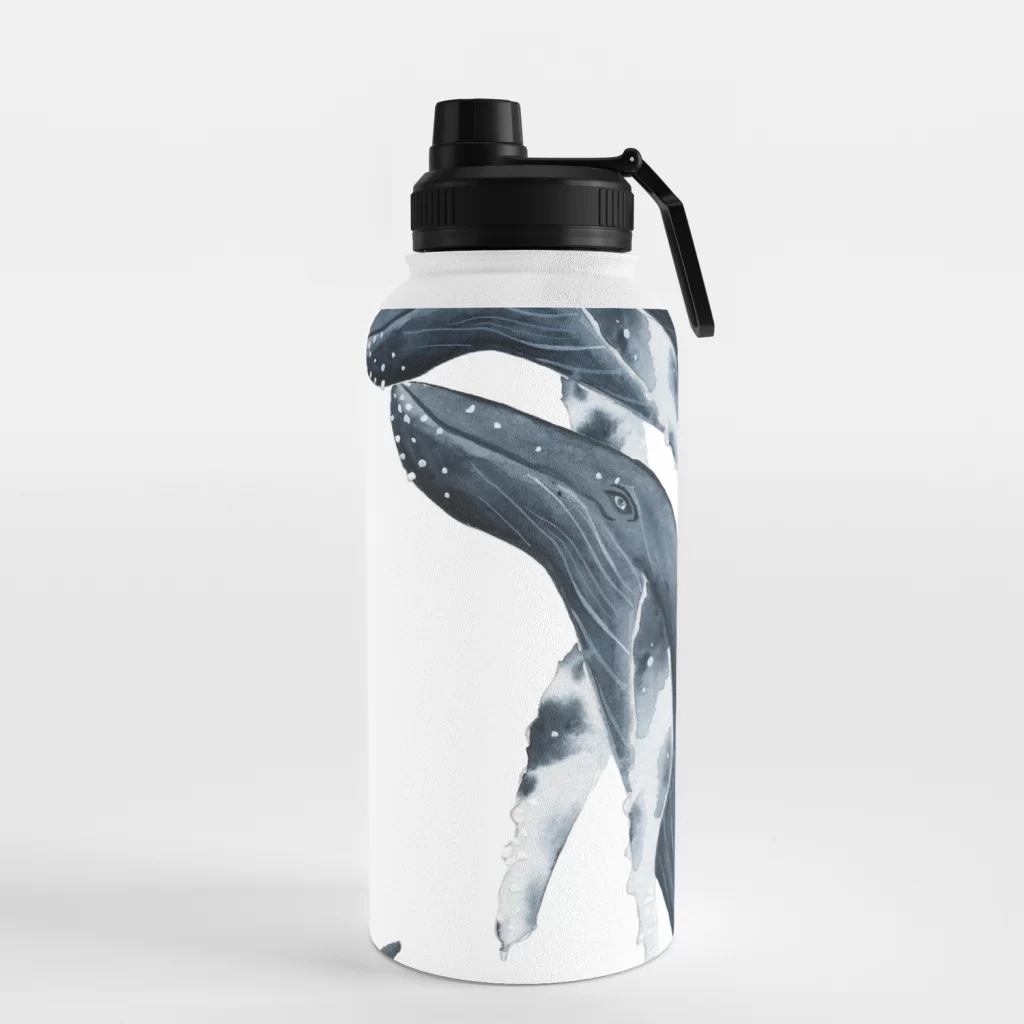 Water Bottle