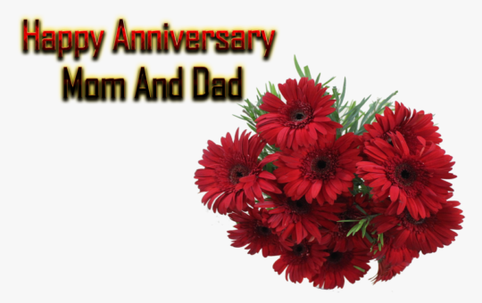 marriage anniversary wishes