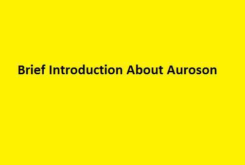 Brief Introduction About Auroson