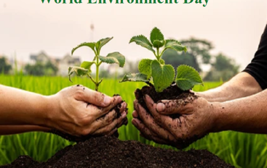 World Environment Day