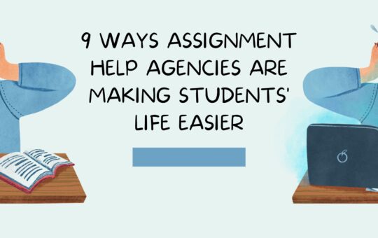 Assignment Help Agencies