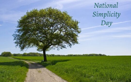 National Simplicity Day