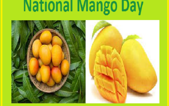 Mango Day